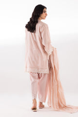 Stitched Embroidered Lawn Suit