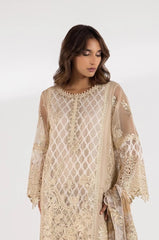 Stitched Embroidered Organza Suit