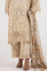 Stitched Embroidered Organza Suit