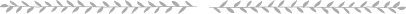 section-divider